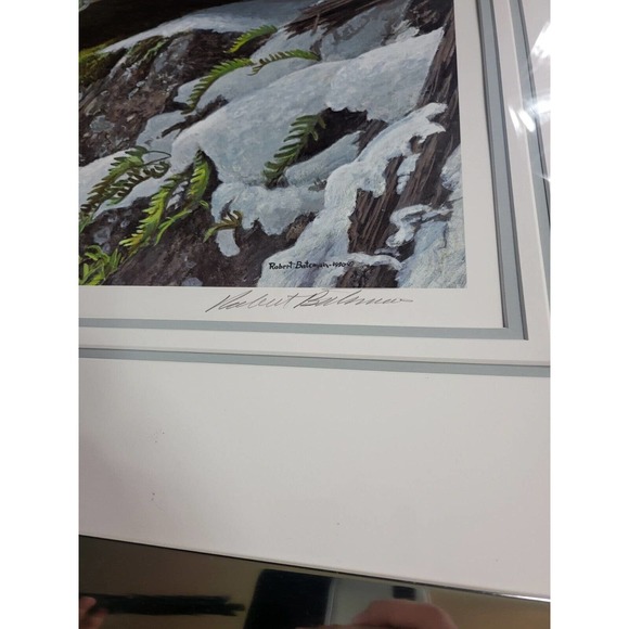 Robert Bateman "At The Cliff" - Bobcat Signed 3849/12500 Framed Print & 2 COA's - Picture 4 of 10